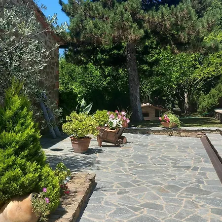 Casolare Il Moro Nyaraló Monte San Savino